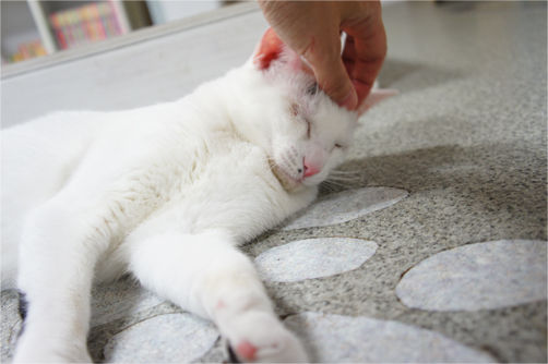tcg_blog232