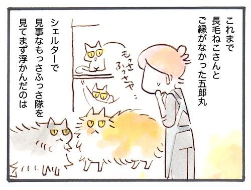101-1