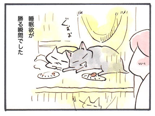 103-4