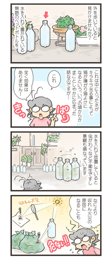 tcg-blog599