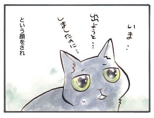 95-6