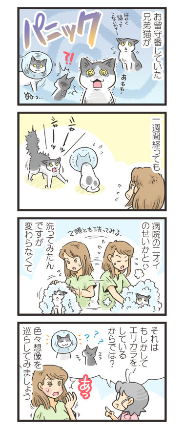 tcg-blog595