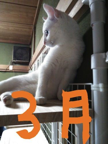 20140813_140254