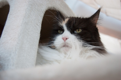 DSC03195 のコピー