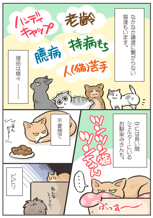 tcg-blog81