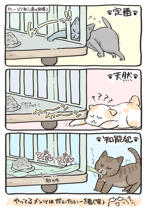tcg-blog20