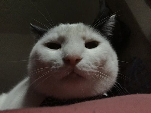 image5 のコピー