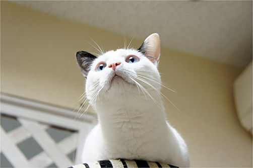 tcg_blog114