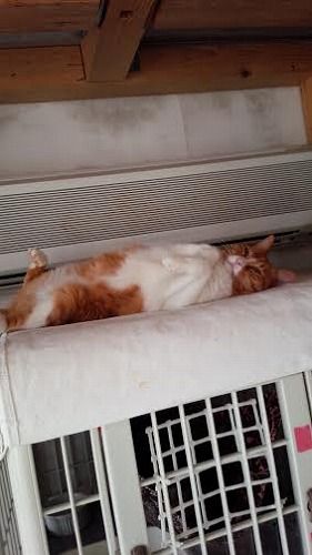 bc041b14-61d6-475c-a74d-f91ff9bd325c