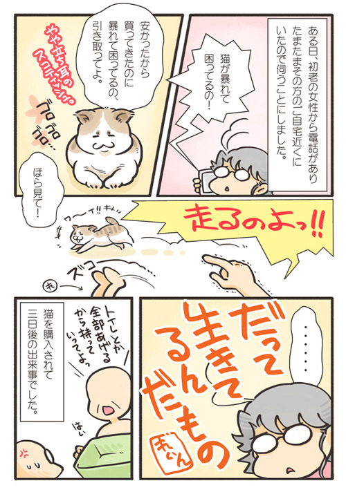 tcg-blog80