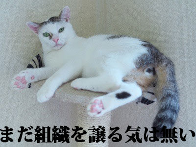 P9167092