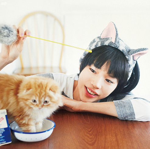 東京キャットガーディアンシェルター日記 6月のシェルターギャラリーはフェリシモ 猫部 さんです