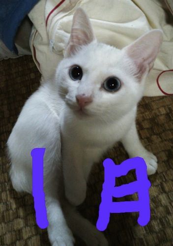 20140813_141300