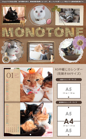 monotone_01
