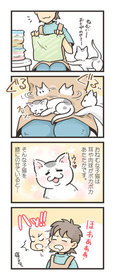 tcg-blog147