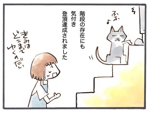 98-4