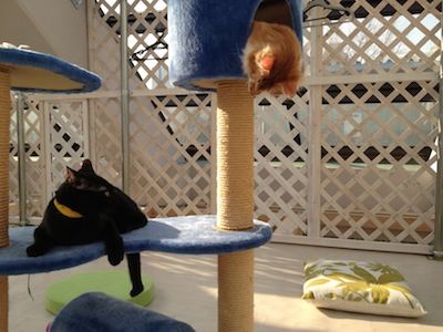 IMG_7181
