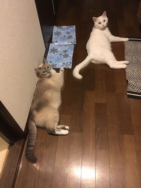 415④