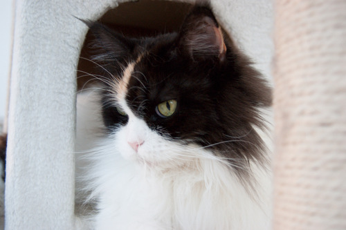 DSC03199 のコピー