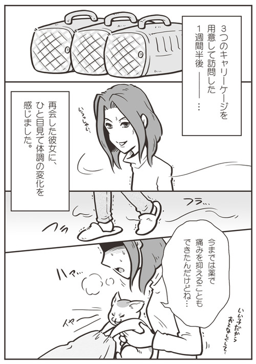 tcg-blog53(5)