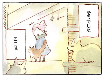 1-6