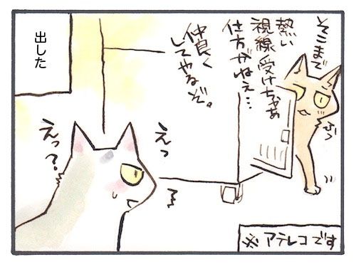 86-6