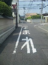 d79ddc66.jpg