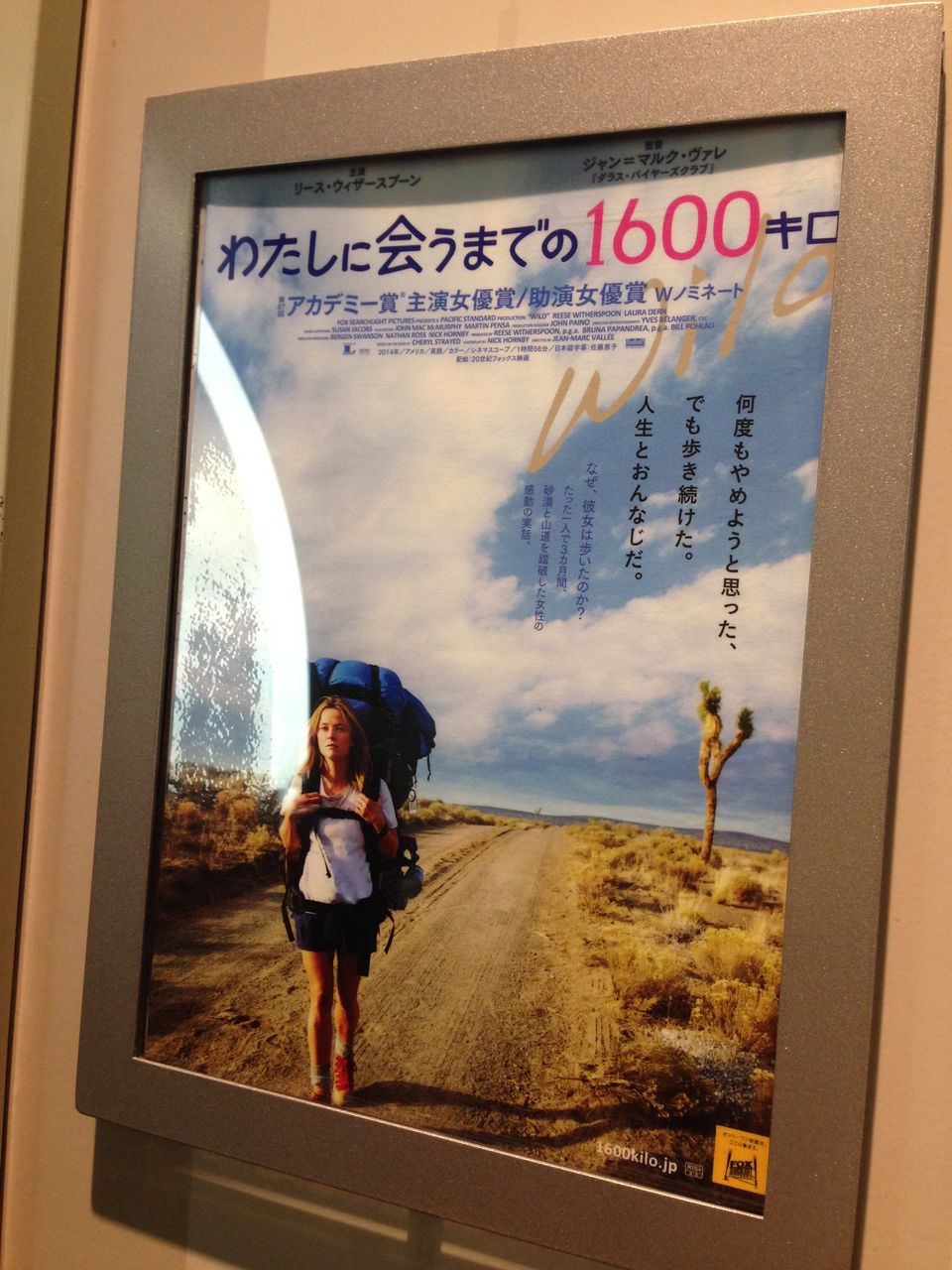 Tohoシネマズ川崎 Premier プレミア スクリーン 座席表のおすすめの見やすい席 トーキョー映画館番長