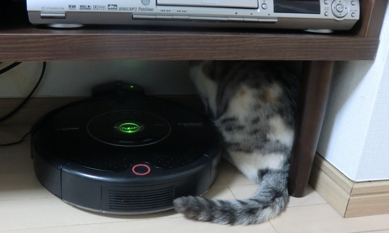 The Best Kicthen Detergent in Japan Tokyo Japan Life Tips