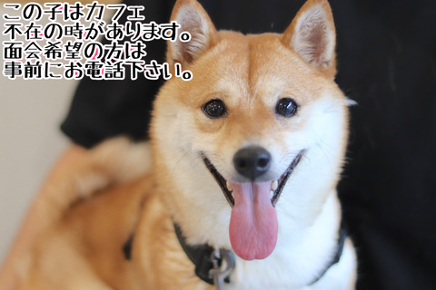 7B6FBEFE-92C9-4723-8C98-23DD7FFE9257