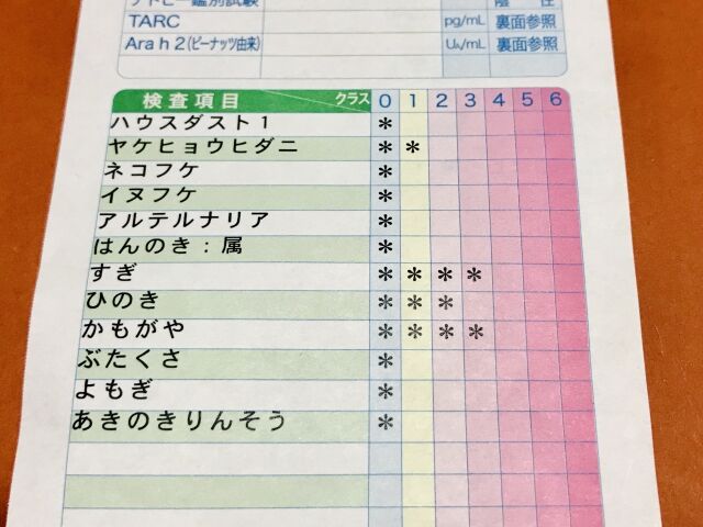 子どもとペット アレルギー検査は必須 Npo法人みなしご救援隊犬猫譲渡センター東京支部のblog 子どもとペット アレルギー検査は必須 Npo法人みなしご救援隊犬猫譲渡センター東京支部のblog