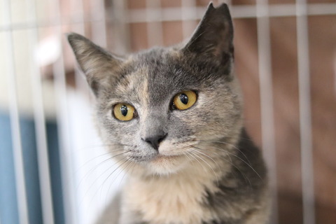 4F59F47D-062D-49FA-8522-9CFA30BAB303