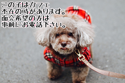 62A9732E-678D-48BC-8C4E-88CB893B7C1A