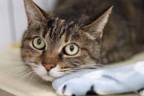 16dde8c5e72eb1e069818c1a1aca0971