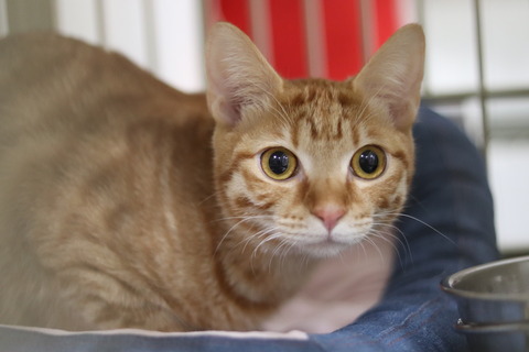 4113C225-6E04-472E-A72D-D25CEE30BA08