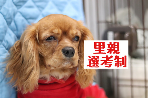 28C9A62B-545C-40D2-83F5-F66C12AAD559