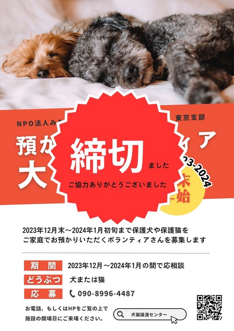 東京2020ボランティア グッズセット(保護犬、猫ボランティア施設に売上金寄付) 東京2020ボランティア グッズセット(保護犬、猫ボランティア施設