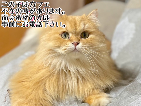 3C632270-C9BD-4F21-9423-6076319B453E