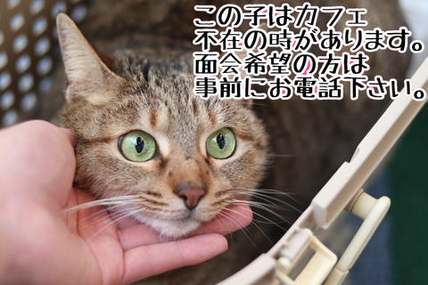 DA5885CD-F23C-446F-9973-6C137678A600