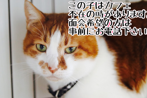 6DA58368-CD7D-470C-B7DC-2ABB0A5FED9D