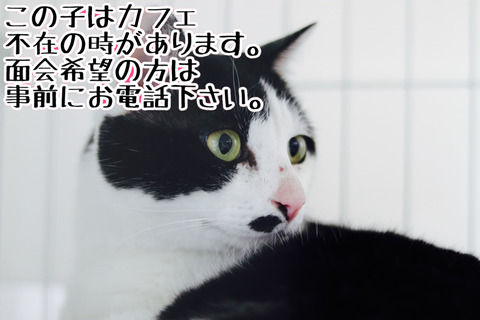 3239BC92-7247-40E8-83E2-FA0640B8A85D