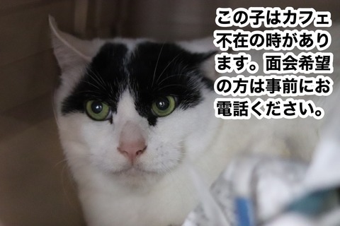 S__35577902