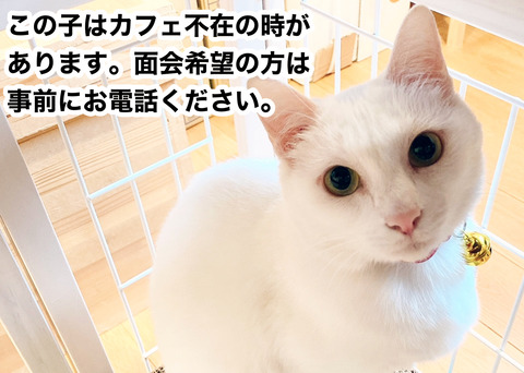 9c5af4568fefd25ff8d5d40bedc848a8