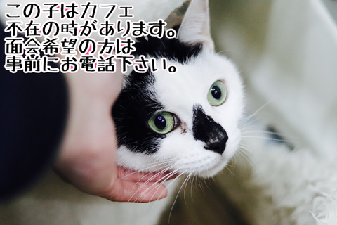 7FD2261E-8929-45D7-941B-69592B4D48CF
