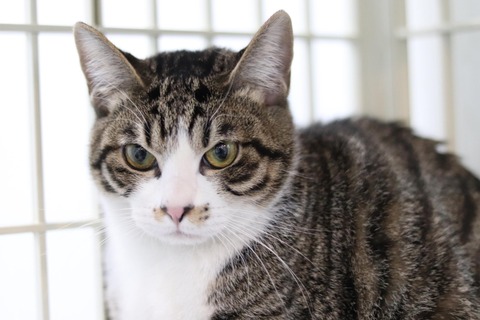 4D3011BB-4476-44F3-96A0-1C724D15C2FC