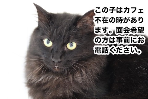S__35504206