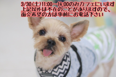 phonto-1