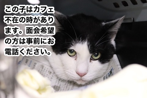 S__35577901
