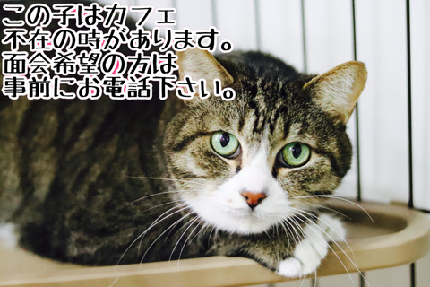 7F461C1D-5BB7-4434-80C4-4F051B67572E