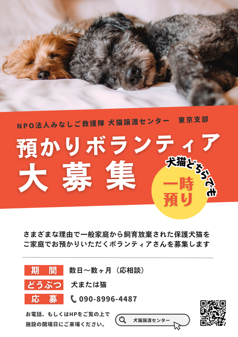 東京2020ボランティア グッズセット(保護犬、猫ボランティア施設に売上金寄付) 保護犬や保護猫を預かってみませんか？ : NPO法人みなしご救援隊